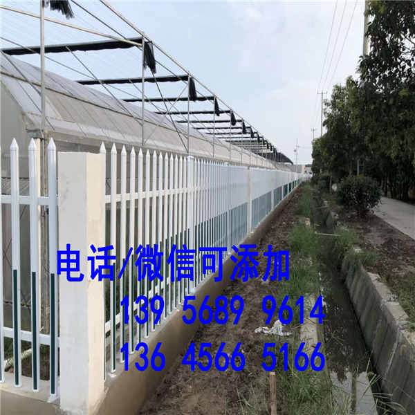 【石狮市防腐实木栅栏>>>pvc围栏篱笆菜园花园栅栏gg怎样】- 